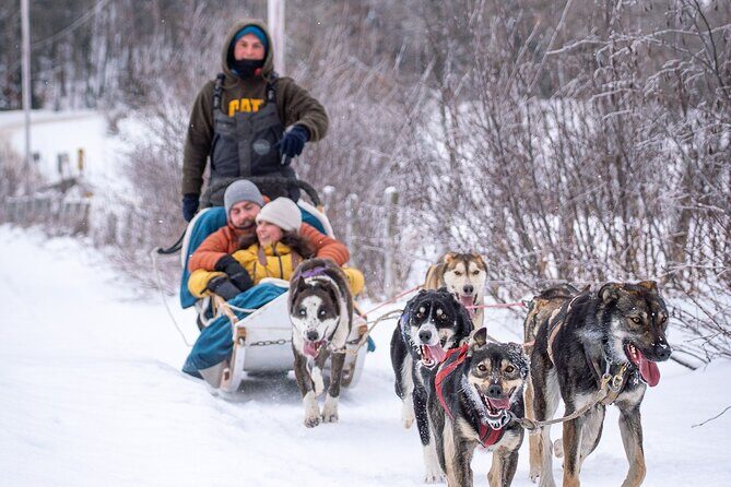 Ultimate Dog Sledding Tour - Day trip from Ottawa & Gatineau - Food, Snacks, and Warmth