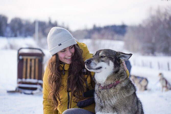 Ultimate Dog Sledding Tour - Day trip from Ottawa & Gatineau - Authenticity and Value