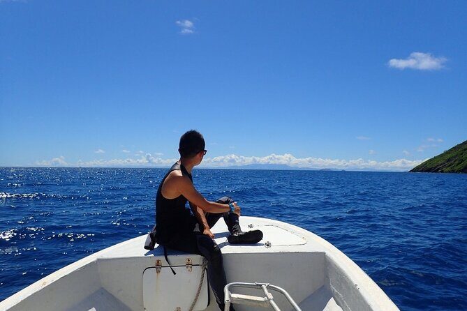 Ultimate Encounter Snorkel with Sharks in Fiji - What Sets This Tour Apart