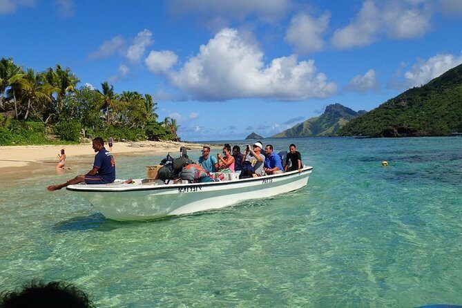 Ultimate Encounter Snorkel with Sharks in Fiji - Final Thoughts