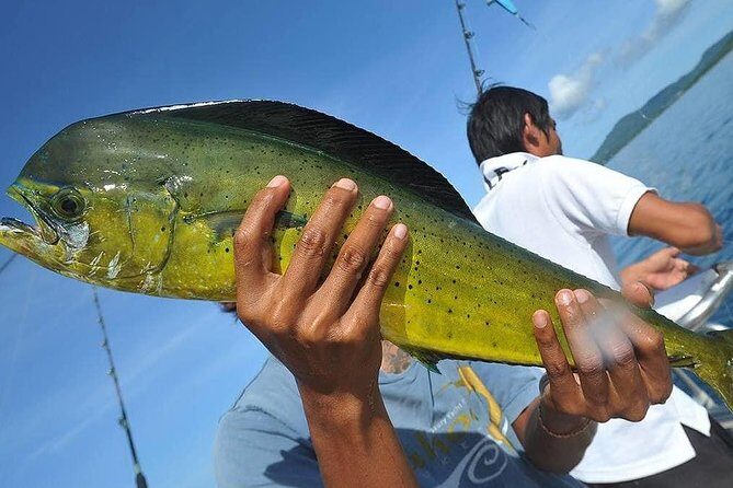 Ultimate Full-Day Big Game Fishing & Trolling Tour - Final Thoughts