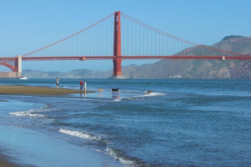 Ultimate Golden Gate Bridge & SF Bay Explorer Tour - Final Thoughts: Who Should Sign Up?