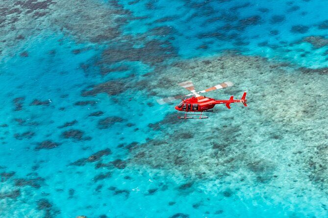 Ultimate Great Barrier Reef and Rainforest 45-minute Helicopter Tour - The Sum Up: Is It Worth It?