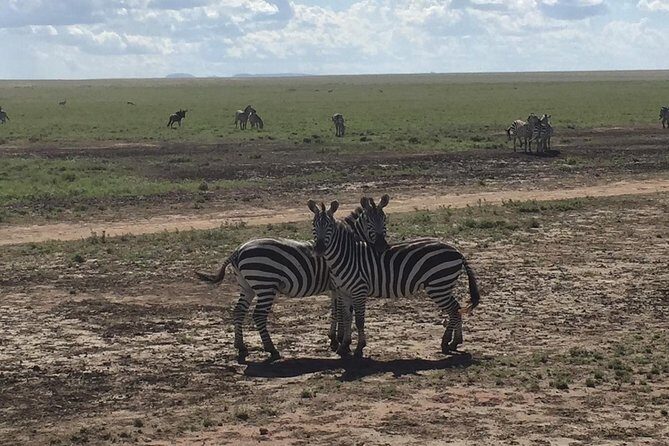 Ultimate Guide For The Best 4-Days Serengeti Safari in Tanzania - Key Points