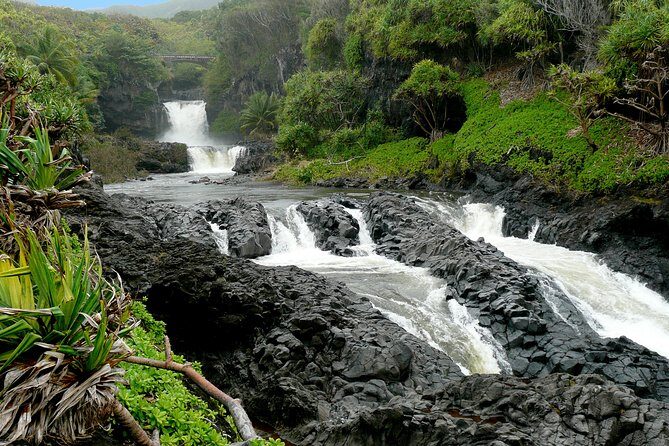 Ultimate Hana Full-Day Adventure Tour - Lunch and Snacks: Fuel for the Day