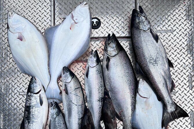 Ultimate Ketchikan Salmon and Halibut Fishing Adventure - Ultimate Ketchikan Salmon and Halibut Fishing Adventure: A Complete Review
