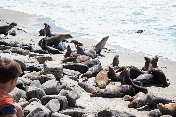 Ultimate La Jolla Self-Guided Driving & Walking Audio Tour Bundle - A Closer Look at the Itinerary
