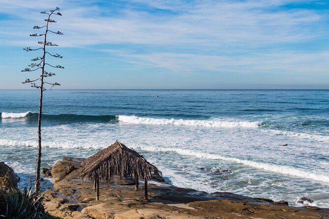 Ultimate La Jolla Self-Guided Driving & Walking Audio Tour Bundle - The Sum Up