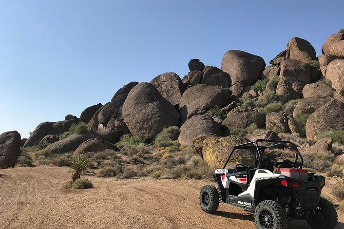 Ultimate Las Vegas RZR Adventure: Hidden Valley and Primm - Authentic Experiences from Travelers