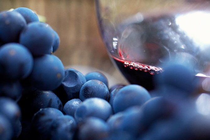 Ultimate Mornington Peninsula Food and Wine Small Group Tour - Who Should Consider This Tour?