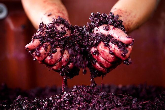 Ultimate Mornington Peninsula Food and Wine Small Group Tour - A Final Word: Is It Worth It?
