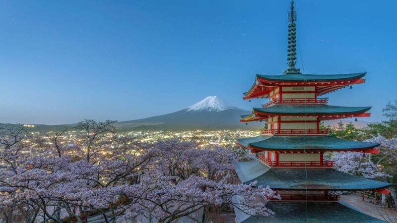 Ultimate Mt. Fuji Private Escape: Day Trip from Tokyo - What Makes This Tour Stand Out?