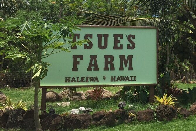 Ultimate North Shore Adventure: Full-Day Hawaiian Experience - Starting at Green World Coffee Farms