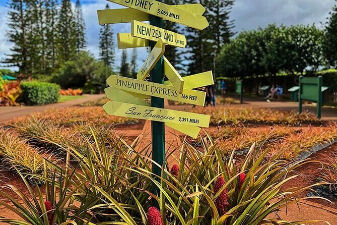 Ultimate North Shore Adventure: Full-Day Hawaiian Experience - North Shore Water Activities and Farm Atmosphere