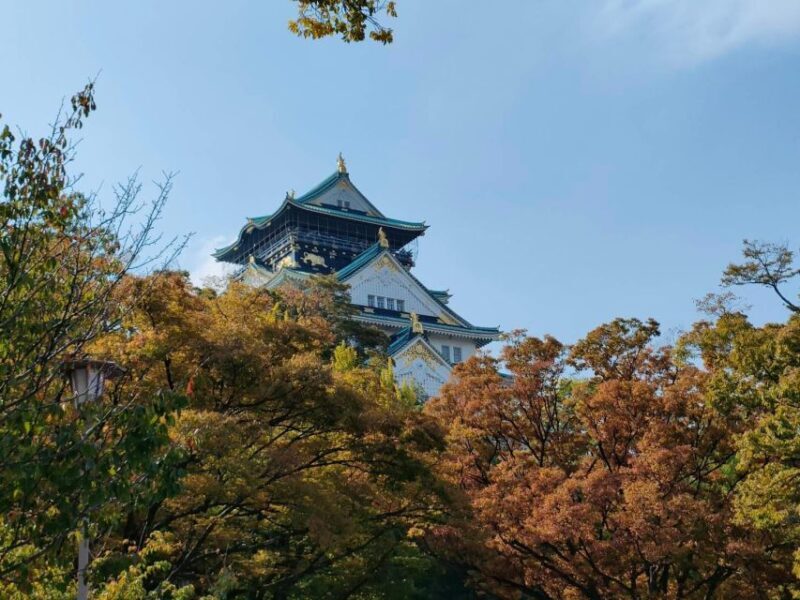Ultimate Osaka Walking Tour - Castle, Shinsekai, & Dotonbori - Value for Money and Practical Insights