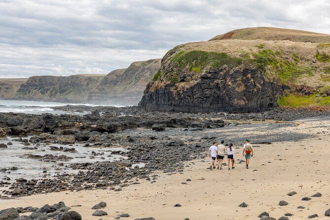 Ultimate Peninsula Adventure: Stand Up Paddle, Hot Springs, Hike, Lunch & Winery - What’s Included and What to Consider