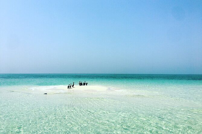 Ultimate Private Jarada Island Escape Tour - Authentic Experiences and Honest Feedback