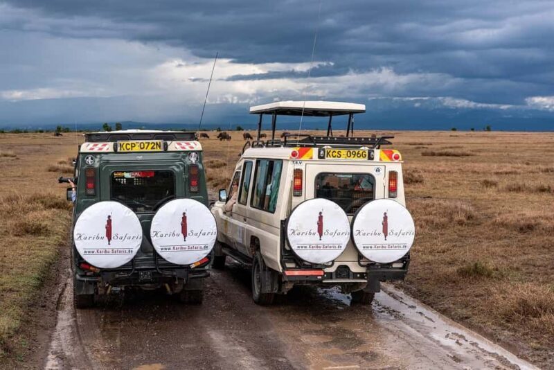 Ultimate Safari: Nairobi Park Game Drive & Sunset Sundowner - Key Points