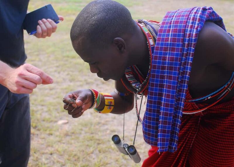 Ultimate Safari: Nairobi Park Game Drive & Sunset Sundowner - An Authentic Wildlife Encounter, Near the City