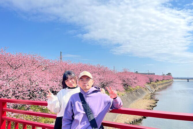 Ultimate View Izu Car Tour with Hotel Pickup and Local Guide - FAQs