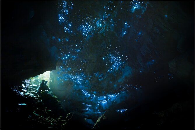 Ultimate Waitomo Glowworm Tour Private, Tailored, After Dark - Introducing the Ultimate Waitomo Glowworm Tour