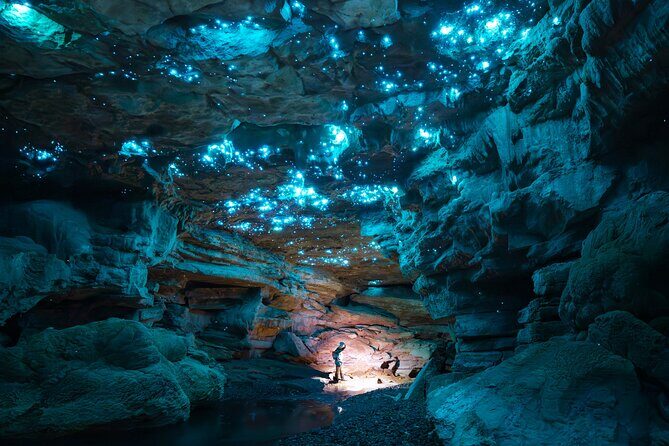 Ultimate Waitomo Glowworm Tour Private, Tailored, After Dark - Key Points