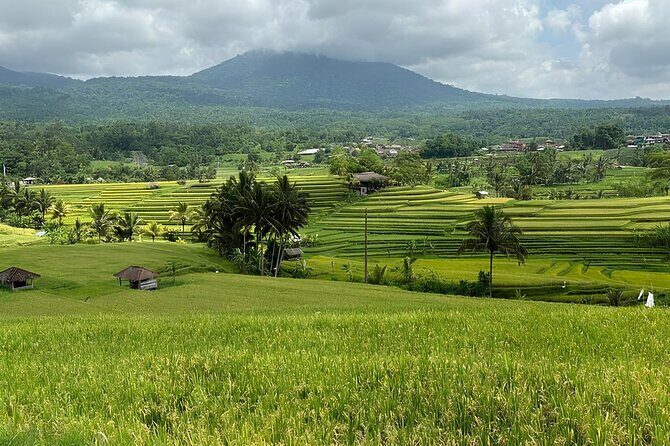 Ulun Danu Beratan Lake Temples, Waterfalls & Jatiluwih Rice Field - Final Words