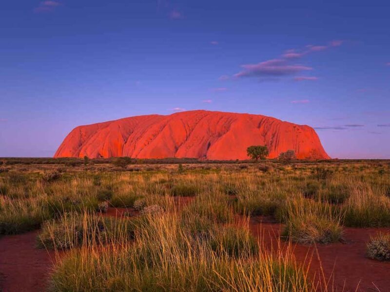 Uluru: 4-Day Rock to Rock Adventure Tour - Final Thoughts