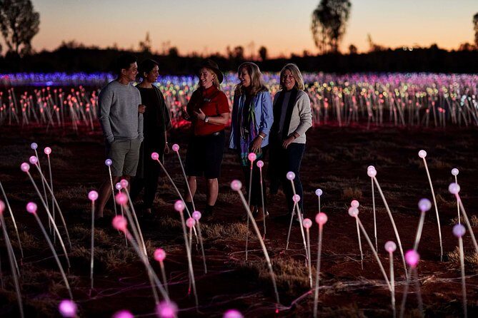 Uluru (Ayers Rock) Field of Light Sunrise Tour - The Experience in Detail