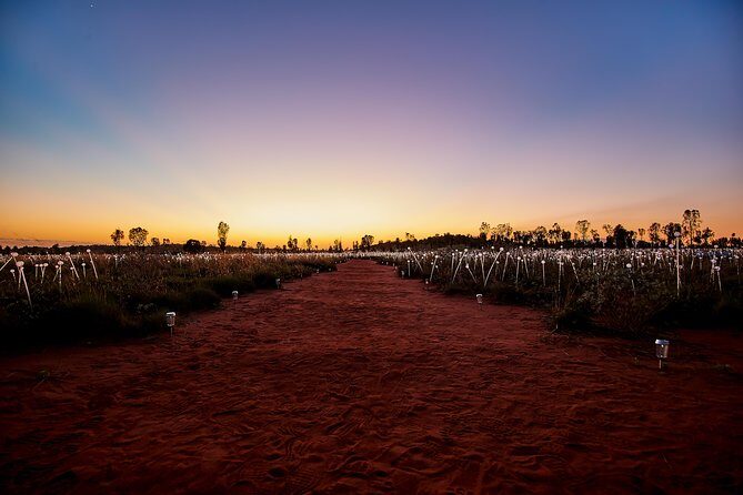 Uluru (Ayers Rock) Field of Light Sunrise Tour - Practical Tips for Travelers