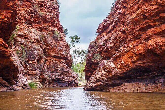 Uluru (Ayers Rock) to Alice Springs One-Way Shuttle - FAQs