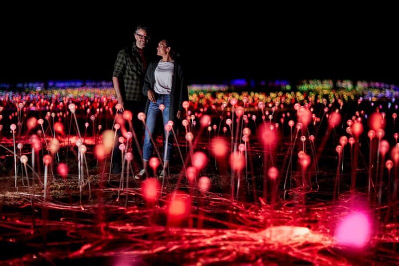 Uluru: Field of Light Sunrise Tour with Hot Drinks - Setting the Scene: What to Expect from the Tour