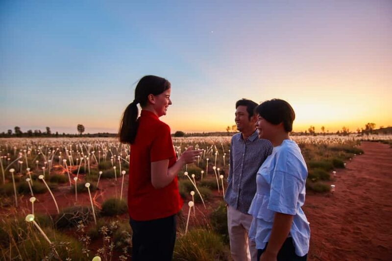 Uluru: Field of Light Sunrise Tour with Hot Drinks - What the Reviews Reveal: Authentic Perspectives