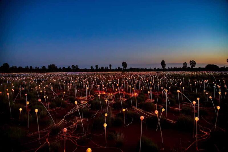 Uluru: Field of Light Sunrise Tour with Hot Drinks - Final Thoughts: Is It Worth It?