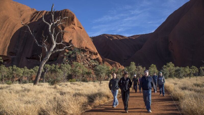 Uluru Highlights Small Group Morning Tour + Picnic Breakfast - Source