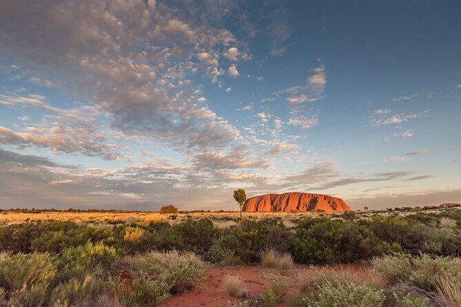 Uluru, Kata Tjuta and Kings Canyon Camping Safari from Ayers Rock - FAQ