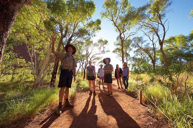Uluru Small Group Tour including Sunset - A Detailed Look at the Uluru Small Group Tour