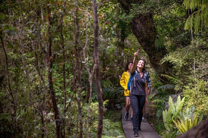 Ulva Island Explorer from Stewart Island - FAQ
