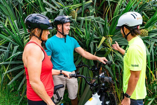 Umauma Falls eBike Tour in Hakalau - An In-Depth Look at the Umauma Falls eBike Tour