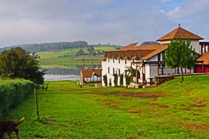 Umecuaro All Inclusive Tour and Guided Tours in Morelia - An In-Depth Look at the Umécuaro Experience