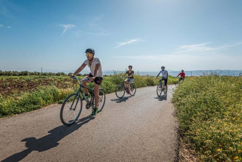 Umm Qais: Guided Light Cycling Tour with Equipment - The Sum Up