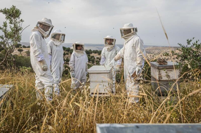 Umm Qais: Overnight Stay and Cycling, Hiking, Beekeeping - Practical Details & What To Bring