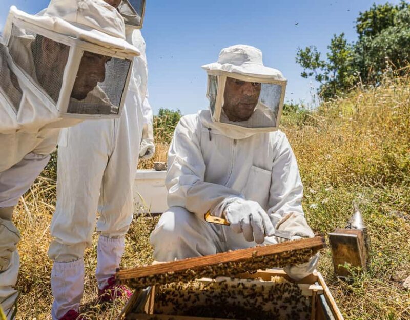 Umm Qais: Overnight Stay and Cycling, Hiking, Beekeeping - Who Would Love This Tour?