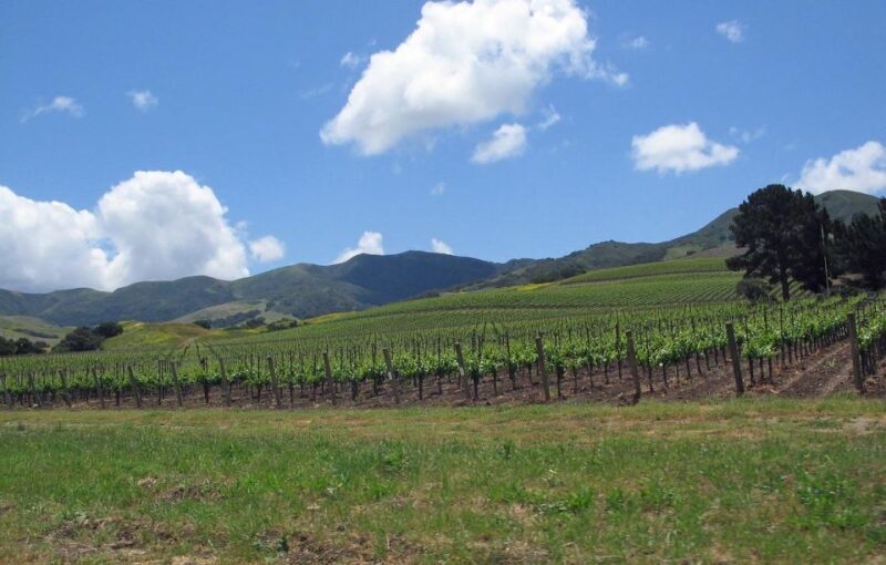 Uncork Santa Barbara: A Private Wine Country Tour - Authentic Experience and What It Means for You