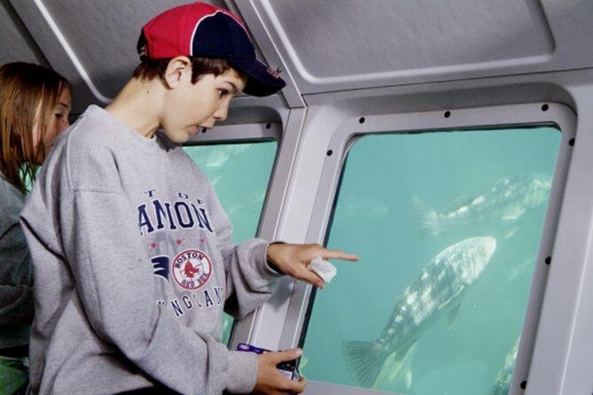 Undersea Expedition: Catalina Island Tour - What to Expect from the Undersea Expedition