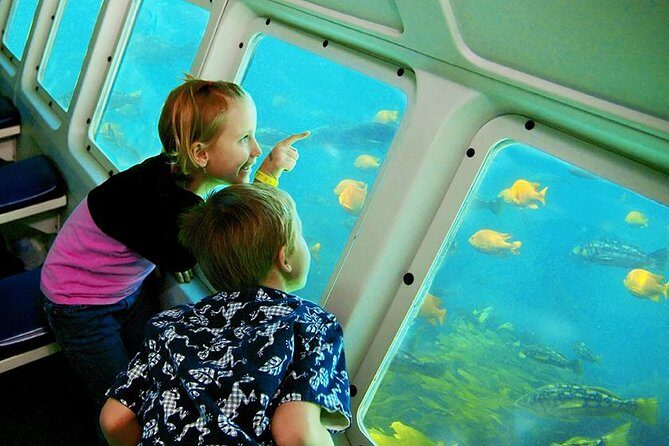 Undersea Expedition: Catalina Island Tour - Authentic Experiences from Reviews