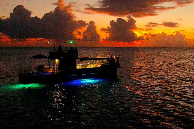 Underwater excursion to Bora Bora - Key Points
