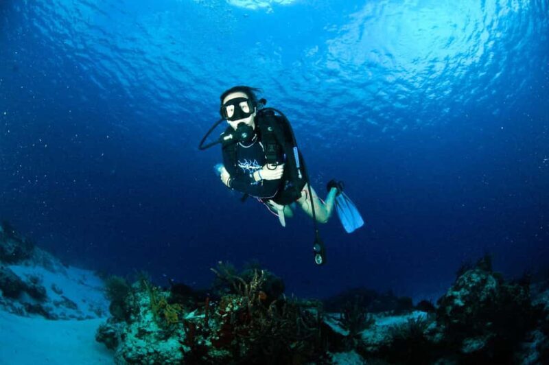Underwater Museum Musa : SCUBA DIVING FOR BEGINNERS - The Experience in Detail