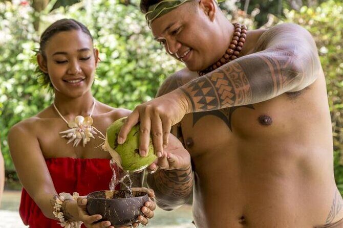 Underwater Observatory & Coconut Experience - Who Will Enjoy This Tour?