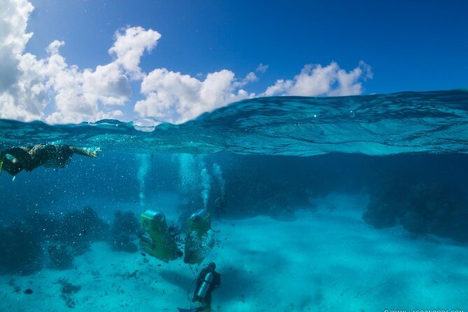 Underwater Scooter - Guides and Group Size